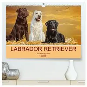 Starick / CALVENDO |  Labrador Retriever - Ein Freund für´s Leben (hochwertiger Premium Wandkalender 2026 DIN A2 quer), Kunstdruck in Hochglanz | Sonstiges |  Sack Fachmedien