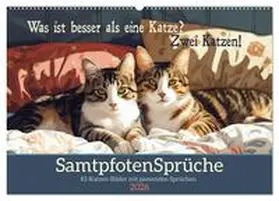 Löwer / CALVENDO |  Samtpfotensprüche (Wandkalender 2026 DIN A2 quer), CALVENDO Monatskalender | Sonstiges |  Sack Fachmedien