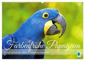 CALVENDO |  Farbenfrohe Papageien (Wandkalender 2026 DIN A2 quer), CALVENDO Monatskalender | Sonstiges |  Sack Fachmedien