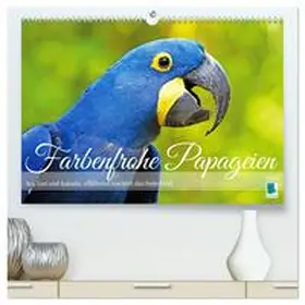 CALVENDO |  Farbenfrohe Papageien (hochwertiger Premium Wandkalender 2026 DIN A2 quer), Kunstdruck in Hochglanz | Sonstiges |  Sack Fachmedien