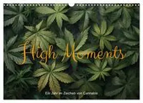 artefacti / CALVENDO |  High Moments - Ein Jahr im Zeichen von Cannabis (Wandkalender 2026 DIN A3 quer), CALVENDO Monatskalender | Sonstiges |  Sack Fachmedien