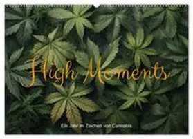 artefacti / CALVENDO |  High Moments - Ein Jahr im Zeichen von Cannabis (Wandkalender 2026 DIN A2 quer), CALVENDO Monatskalender | Sonstiges |  Sack Fachmedien