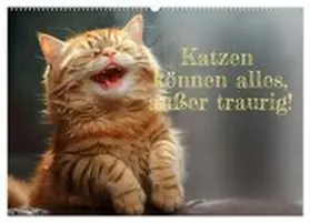 CALVENDO / Rolf Skrypzak, KI, |  Katzen können alles, außer traurig. (Wandkalender 2026 DIN A2 quer), CALVENDO Monatskalender | Sonstiges |  Sack Fachmedien