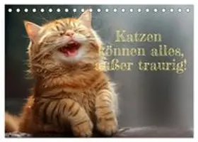 CALVENDO / Rolf Skrypzak, KI, |  Katzen können alles, außer traurig. (Tischkalender 2026 DIN A5 quer), CALVENDO Monatskalender | Sonstiges |  Sack Fachmedien