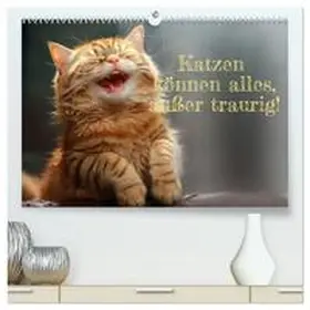 Rolf Skrypzak / CALVENDO / Rolf Skrypzak, KI, |  Katzen können alles, außer traurig. (hochwertiger Premium Wandkalender 2026 DIN A2 quer), Kunstdruck in Hochglanz | Sonstiges |  Sack Fachmedien