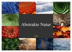 Michel / CALVENDO |  Abstrakte Natur (Wandkalender 2026 DIN A2 quer), CALVENDO Monatskalender | Sonstiges |  Sack Fachmedien