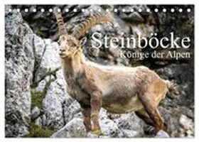 CALVENDO / Burbott |  Steinböcke - Majestätische Tiere der Alpen (Tischkalender 2026 DIN A5 quer), CALVENDO Monatskalender | Sonstiges |  Sack Fachmedien