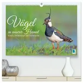 CALVENDO |  Vögel in unserer Heimat: Kiebitz, Wiedehopf und Turteltaube (hochwertiger Premium Wandkalender 2026 DIN A2 quer), Kunstdruck in Hochglanz | Sonstiges |  Sack Fachmedien