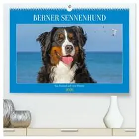 Starick / CALVENDO |  Berner Sennenhund - Ein Freund auf vier Pfoten (hochwertiger Premium Wandkalender 2026 DIN A2 quer), Kunstdruck in Hochglanz | Sonstiges |  Sack Fachmedien