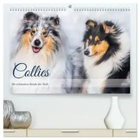 Starick / CALVENDO |  Collies - die schönsten Hunde der Welt (hochwertiger Premium Wandkalender 2026 DIN A2 quer), Kunstdruck in Hochglanz | Sonstiges |  Sack Fachmedien