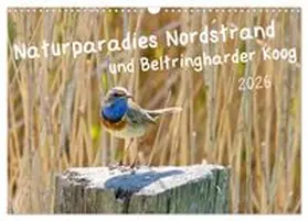 CALVENDO / Voss |  Naturparadies Nordstrand und Beltringharder Koog (Wandkalender 2026 DIN A3 quer), CALVENDO Monatskalender | Sonstiges |  Sack Fachmedien