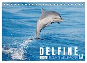 CALVENDO |  Delfine: Elegante Wellenreiter (Tischkalender 2026 DIN A5 quer), CALVENDO Monatskalender | Sonstiges |  Sack Fachmedien