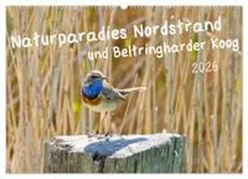 CALVENDO / Voss |  Naturparadies Nordstrand und Beltringharder Koog (Wandkalender 2026 DIN A2 quer), CALVENDO Monatskalender | Sonstiges |  Sack Fachmedien