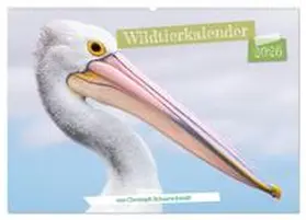 CALVENDO / Schaarschmidt |  Wildtierkalender (Wandkalender 2026 DIN A2 quer), CALVENDO Monatskalender | Sonstiges |  Sack Fachmedien