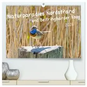 CALVENDO / Voss |  Naturparadies Nordstrand und Beltringharder Koog (hochwertiger Premium Wandkalender 2026 DIN A2 quer), Kunstdruck in Hochglanz | Sonstiges |  Sack Fachmedien