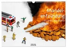 Bogumil / CALVENDO |  Mandelentzündung ... und andere Mini-Welten (Wandkalender 2026 DIN A3 quer), CALVENDO Monatskalender | Sonstiges |  Sack Fachmedien