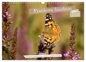 CALVENDO / Paulus |  Frankens Insekten (Wandkalender 2026 DIN A3 quer), CALVENDO Monatskalender | Sonstiges |  Sack Fachmedien