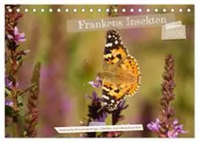 CALVENDO / Paulus |  Frankens Insekten (Tischkalender 2026 DIN A5 quer), CALVENDO Monatskalender | Sonstiges |  Sack Fachmedien