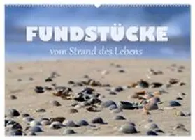 CALVENDO / B-B Müller |  Fundstücke vom Strand des Lebens (Wandkalender 2026 DIN A2 quer), CALVENDO Monatskalender | Sonstiges |  Sack Fachmedien