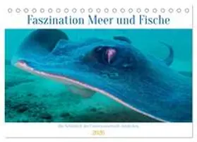 Schulz / CALVENDO |  Faszination Meer und Fische (Tischkalender 2026 DIN A5 quer), CALVENDO Monatskalender | Sonstiges |  Sack Fachmedien