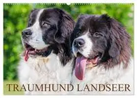 Starick / CALVENDO |  Traumhund Landseer (Wandkalender 2026 DIN A2 quer), CALVENDO Monatskalender | Sonstiges |  Sack Fachmedien