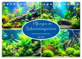 CALVENDO / Hurley |  Pflanzen im Süßwasseraquarium. Gartenkunst im Fischbecken (Tischkalender 2026 DIN A5 quer), CALVENDO Monatskalender | Sonstiges |  Sack Fachmedien