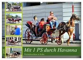 von Löwis of Menar / CALVENDO |  Mit 1 PS durch Havanna - Pferdedroschken in Kuba (Wandkalender 2026 DIN A2 quer), CALVENDO Monatskalender | Sonstiges |  Sack Fachmedien