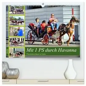 von Löwis of Menar / CALVENDO |  Mit 1 PS durch Havanna - Pferdedroschken in Kuba (hochwertiger Premium Wandkalender 2026 DIN A2 quer), Kunstdruck in Hochglanz | Sonstiges |  Sack Fachmedien