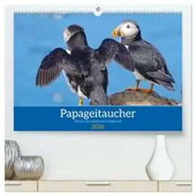 Pantke / CALVENDO |  Papageitaucher - Clowns der nordischen Vogelwelt (hochwertiger Premium Wandkalender 2026 DIN A2 quer), Kunstdruck in Hochglanz | Sonstiges |  Sack Fachmedien