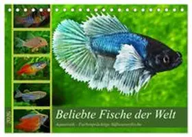 CALVENDO / Pohlmann |  Beliebte Fische der Welt (Tischkalender 2026 DIN A5 quer), CALVENDO Monatskalender | Sonstiges |  Sack Fachmedien