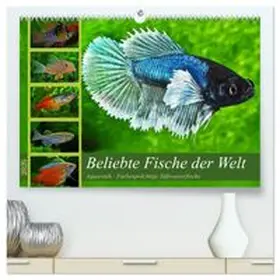 CALVENDO / Pohlmann |  Beliebte Fische der Welt (hochwertiger Premium Wandkalender 2026 DIN A2 quer), Kunstdruck in Hochglanz | Sonstiges |  Sack Fachmedien