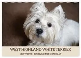 Rohde / CALVENDO |  WEST HIGHLAND WHITE TERRIER - DER WESTIE - EIN HUND MIT CHARISMA (Wandkalender 2026 DIN A2 quer), CALVENDO Monatskalender | Sonstiges |  Sack Fachmedien