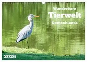 Rohde / CALVENDO |  Wunderbare Tierwelt Deutschlands (Wandkalender 2026 DIN A3 quer), CALVENDO Monatskalender | Sonstiges |  Sack Fachmedien