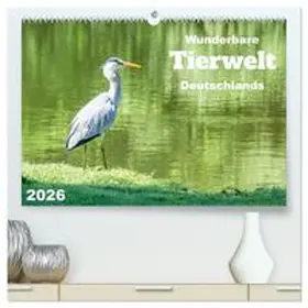 CALVENDO / Rohde |  Wunderbare Tierwelt Deutschlands (hochwertiger Premium Wandkalender 2026 DIN A2 quer), Kunstdruck in Hochglanz | Sonstiges |  Sack Fachmedien