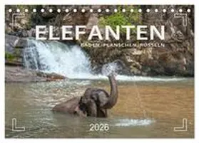 Weigt / CALVENDO |  Elefanten - Baden, Planschen, Rüsseln (Tischkalender 2026 DIN A5 quer), CALVENDO Monatskalender | Sonstiges |  Sack Fachmedien