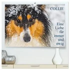 Starick / CALVENDO |  Collies - Eine Liebe für immer und ewig (hochwertiger Premium Wandkalender 2026 DIN A2 quer), Kunstdruck in Hochglanz | Sonstiges |  Sack Fachmedien
