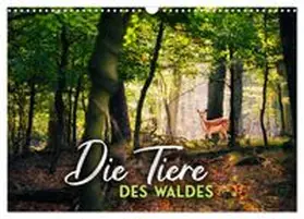 CALVENDO / Monkey |  Die Tiere des Waldes (Wandkalender 2026 DIN A3 quer), CALVENDO Monatskalender | Sonstiges |  Sack Fachmedien