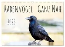 CALVENDO / Voss |  Rabenvögel - ganz nah (Wandkalender 2026 DIN A3 quer), CALVENDO Monatskalender | Sonstiges |  Sack Fachmedien