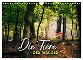 CALVENDO / Monkey |  Die Tiere des Waldes (Wandkalender 2026 DIN A4 quer), CALVENDO Monatskalender | Sonstiges |  Sack Fachmedien