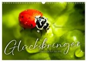 CALVENDO / SF |  Glücksbringer - Dem Glück auf der Spur. (Wandkalender 2026 DIN A3 quer), CALVENDO Monatskalender | Sonstiges |  Sack Fachmedien