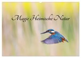 Martin (GDT) / CALVENDO |  Magie Heimische Natur (Wandkalender 2026 DIN A2 quer), CALVENDO Monatskalender | Sonstiges |  Sack Fachmedien