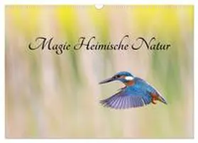 Martin (GDT) / CALVENDO |  Magie Heimische Natur (Wandkalender 2026 DIN A3 quer), CALVENDO Monatskalender | Sonstiges |  Sack Fachmedien