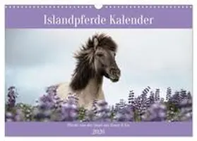 Voth / CALVENDO |  Islandpferde Kalender (Wandkalender 2026 DIN A3 quer), CALVENDO Monatskalender | Sonstiges |  Sack Fachmedien