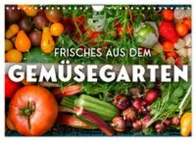 CALVENDO / SF |  Frisches aus dem Gemüsegarten (Wandkalender 2026 DIN A4 quer), CALVENDO Monatskalender | Sonstiges |  Sack Fachmedien