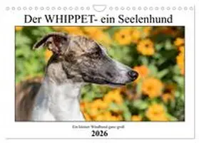 Hofmann / CALVENDO |  Der Whippet - ein Seelenhund (Wandkalender 2026 DIN A4 quer), CALVENDO Monatskalender | Sonstiges |  Sack Fachmedien