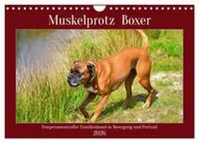 Kleemann / CALVENDO |  Muskelprotz Boxer (Wandkalender 2026 DIN A4 quer), CALVENDO Monatskalender | Sonstiges |  Sack Fachmedien