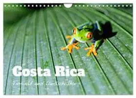 CALVENDO / Colombo |  Costa Rica - Tierwelt und Landschaften (Wandkalender 2026 DIN A4 quer), CALVENDO Monatskalender | Sonstiges |  Sack Fachmedien