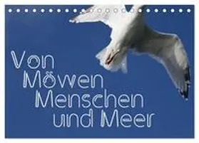 Reichenauer / CALVENDO |  Von Möwen, Menschen und Meer (Tischkalender 2026 DIN A5 quer), CALVENDO Monatskalender | Sonstiges |  Sack Fachmedien
