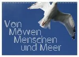 Reichenauer / CALVENDO |  Von Möwen, Menschen und Meer (Wandkalender 2026 DIN A3 quer), CALVENDO Monatskalender | Sonstiges |  Sack Fachmedien