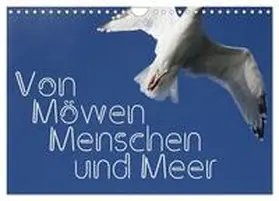 Reichenauer / CALVENDO |  Von Möwen, Menschen und Meer (Wandkalender 2026 DIN A4 quer), CALVENDO Monatskalender | Sonstiges |  Sack Fachmedien